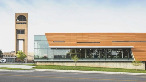 数字时代下的广告剩余 图书广告的新生态与读者应对策略